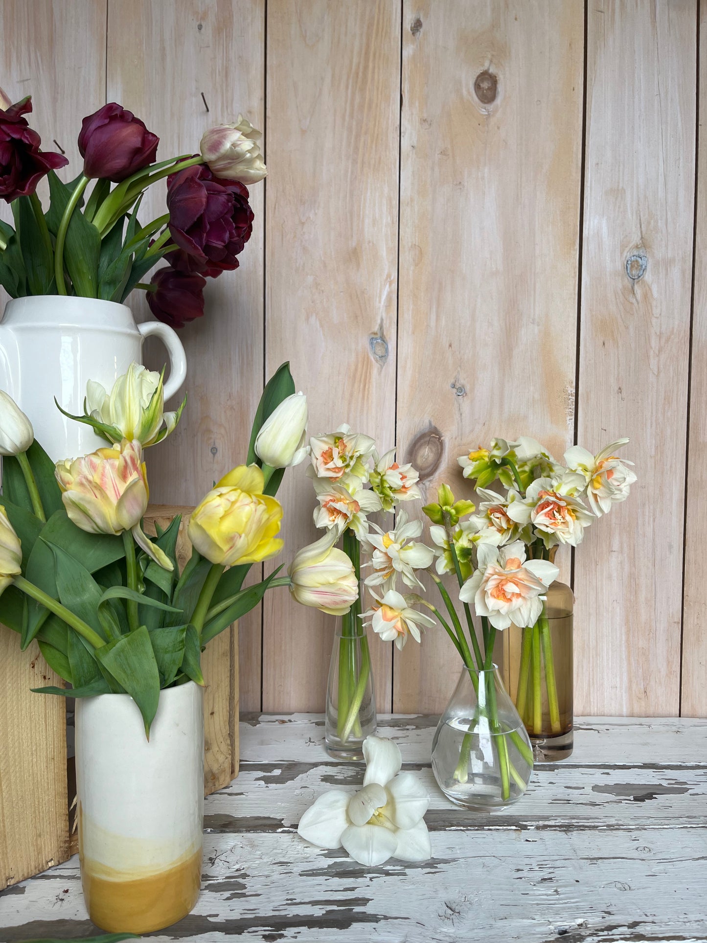 Bouquet de tulipes