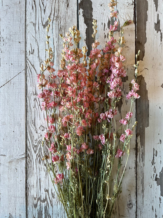 Larkspur - rosé - SÉCHÉ