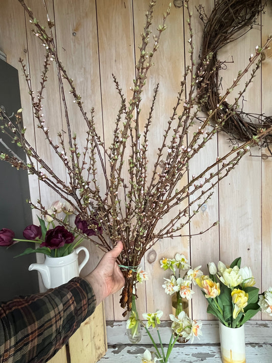 Branche - Amandier - Branchu