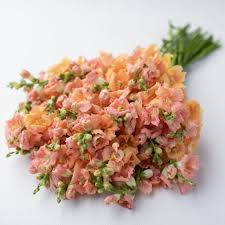 Mufliers Chantilly - Light salmon